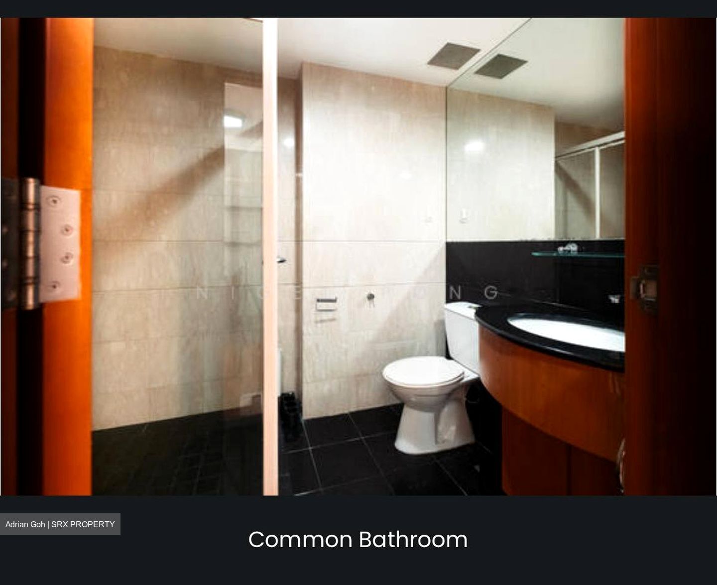Costa Del Sol (D16), Condominium #492992771